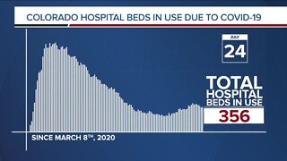 GRAPH: COVID-19 hospital beds in use as of July 24, 2020