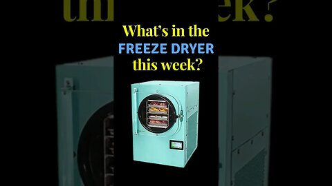 Prepare to Be Amazed: Peek Inside the Freeze Dryer this Week!