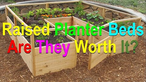 No. 1018 – Raised Planter Beds – Are They Worth It