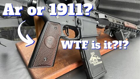 AR 1911 Grips...is this a real thing?