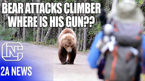 Bear Attacks Mountain Climber, Here's Why He Didn't Have A Gun