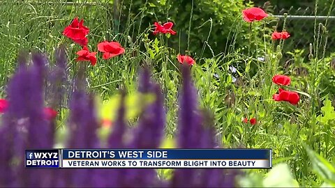 Air Force veteran works to clean up Detroit's west side