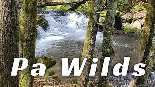 Pa Wilds – WATERFALLS - Trout Waters
