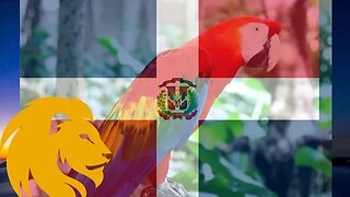 National Anthem Of The Dom. Republic🇩🇴 *Himno Nacional De República Dominicana* Instrumental Version