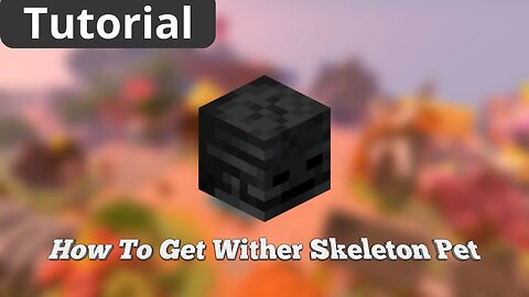 How To Get WITHER SKELETON PET in Hypixel Skyblock