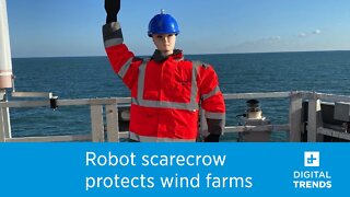 Scaretech Robot Scarecrow