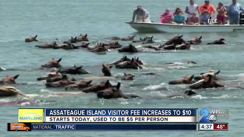 Assateague Island now implementing $10 per person fee