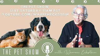 The Pet Show Update 6 9 23