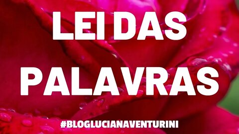 Leis do Universo - Lei das palavras #lucianaventurini #ViverMelhor #leisdouniverso