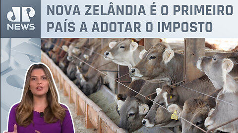 Kellen Severo: Taxa sobre emissões de gases animais começa em 2025