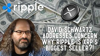 David Schwartz Speaks On Concerns Why Ripple Is XRP's Biggest Seller!!!