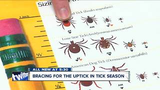 Western New York bracing for an uptick in ticks