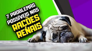 7 PROBLEMAS e 1 VANTAGEM das Rações Renais para Cães | Dr. Edgard Gomes