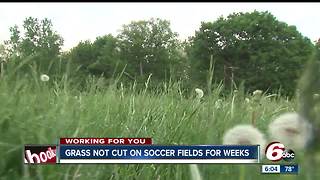 Grass not cut on Indy kids soccer field for weeks