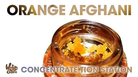Orange Afghani Live Sugar Review