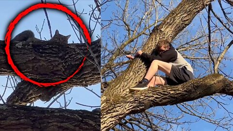 Move Over Cat! Teen Gets Stuck in Tree