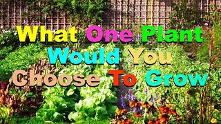 No. 632 – What One Plant Would You Choose To Grow