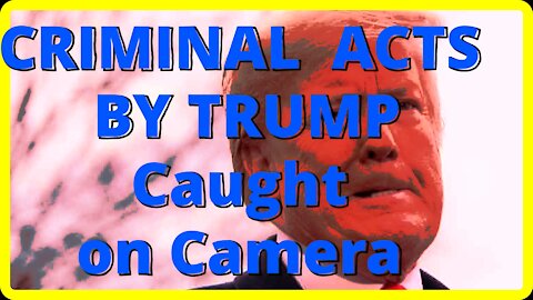 CRIMINAL ACTS BY TRUMP Caught on Camera