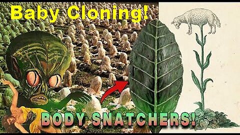 Invasion of the CABBAGES! Plant/Animal Hybrid (BABY??) Cloning - Body Snatchers? "NPCs" & Resets
