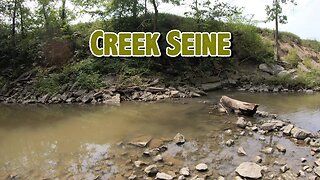 Seine in the Creek