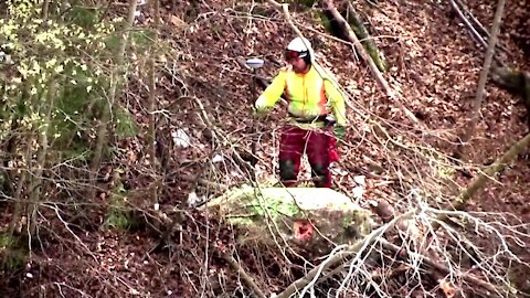 Scientists roll orbs down mountains in rockfall experiment