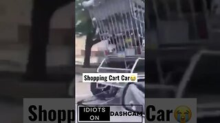 Is This Cart Street Legal?! #shoppingcart #golf