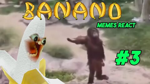 MEMES PRA ALEGRAR SEU DIA- BANANO REACT #3