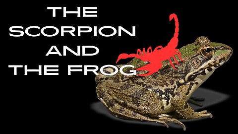 The Scorpion and The Frog