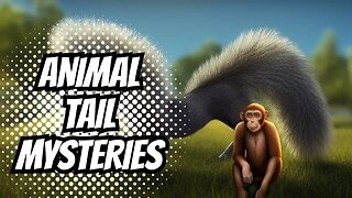 Uncovering the Hidden Purposes of Animal Tails