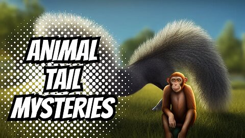 Uncovering the Hidden Purposes of Animal Tails
