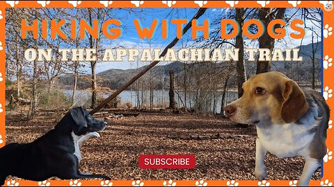 Hiking with dogs on the Appalachian Trail - Lake Watauga, Hampton Tennessee #at