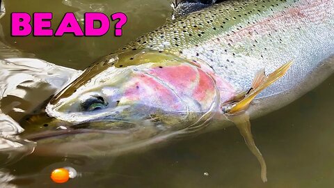 Let’s Talk Bead Fishing! (LIVE)