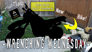 Finally done the FORK SEALS (Part 3) & 🏍 NEW PROJECT!! - Wrenching Wednesday Episode #18