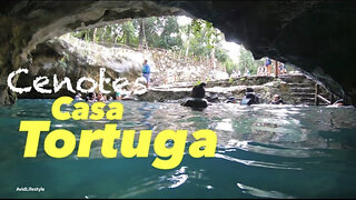 Cenotes Casa Tortuga Tulum, Mexico