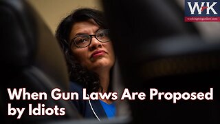 When Gun Laws Are Proposed by Idiots