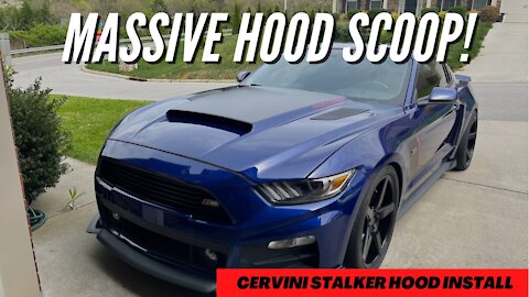 S550 Mustang Cervini Stalker Hood Install ***MASSIVE HOOD SCOOP***