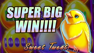 High Limit Drop & Lock Max Betting Sweet Tweet!