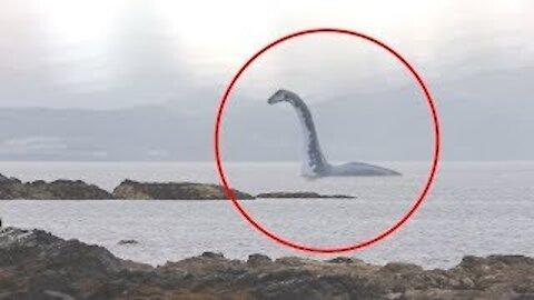 5 Sea Serpent Caught on Camera #monster