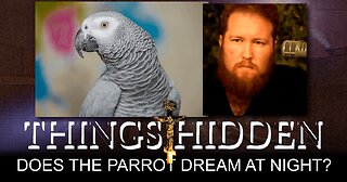 THINGS HIDDEN 198: Does the Parrot Dream at Night?