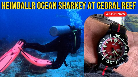 SCUBA Diving with a Heimdallr Sharkey Ocean Monster Dive Watch at Cedral Reef, Cozumel, QRoo, Mexico