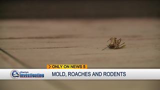 Rodents, roaches, other problems persist at low-income housing development