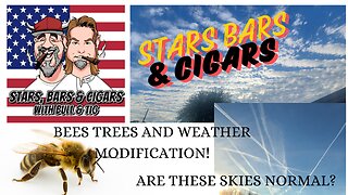 STARS BARS & CIGARS, #49, DO YOU THINK WE CAN LIVE WITHOUT THOSE BEES?