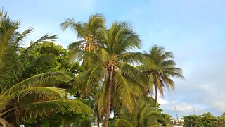 Segunda parte da visita a praia do Bessa em Cabedelo.(1)