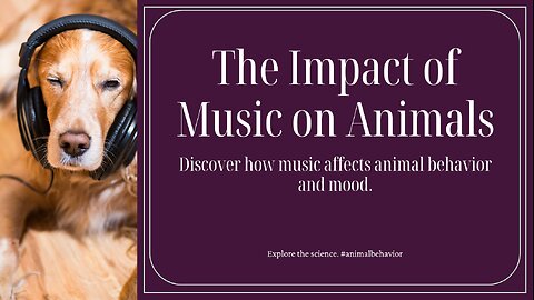 Impact of Music on Animals
