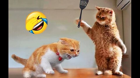 Funniest Animals 2023 😂 New Funny Cats and Dogs Videos 😻🐶