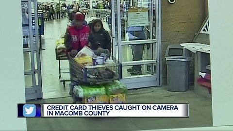 Credit card thieves caught on camera in Macomb County