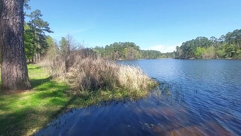 Ratcliff Lake Davy Crockett NF