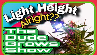 Shedding Light on Cannabis Cultivation: Ideal LED Height Above Canopy - Dude Grows Show 1,481