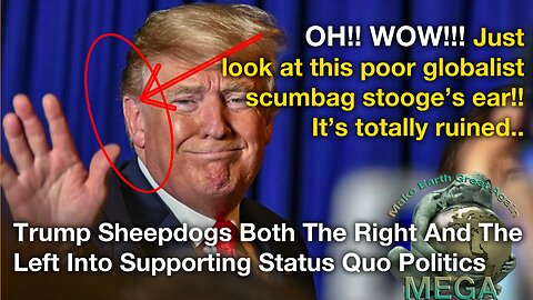 Trump Sheepdogs Both The Right And The Left Into Supporting Status Quo Politics [Closed Captions]