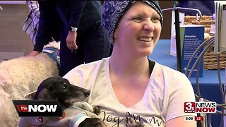 Therapy dogs comfort patients at Bergan Mercy